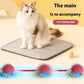 Cat Interactive Ball Toy Automatic Rolling Ball Faux Tail Rechargeable Pet Electric Toy Dog Cat Training Imitate Mouse Products