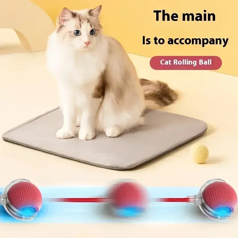 Cat Interactive Ball Toy Automatic Rolling Ball Faux Tail Rechargeable Pet Electric Toy Dog Cat Training Imitate Mouse Products