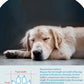 4-Pack Waterproof Anti-Slip Pet Dog Shoes for Small Pets