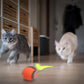 Smart Cat Toys: Automatic Rolling Interactive Ball (USB Rechargeabe