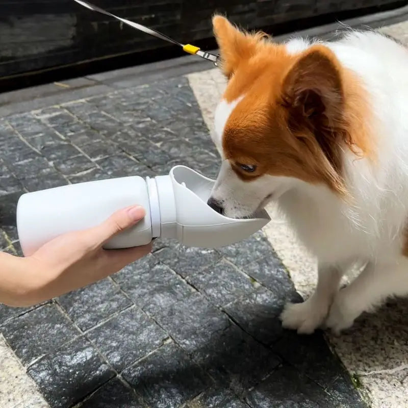 550ml Folding Pet Water Bottle - Portable Mug for Dogs & Cats on the Go!