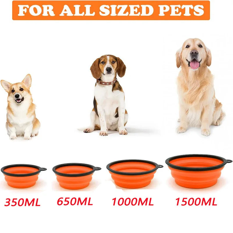2-in-1 Folding Portable Silicone Dog Feeder Bowl with Carabiner