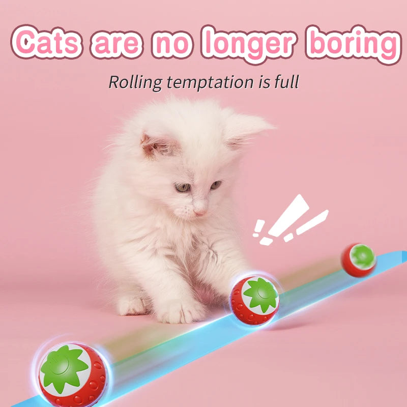 Smart Cat Toys: Automatic Rolling Interactive Ball (USB Rechargeabe