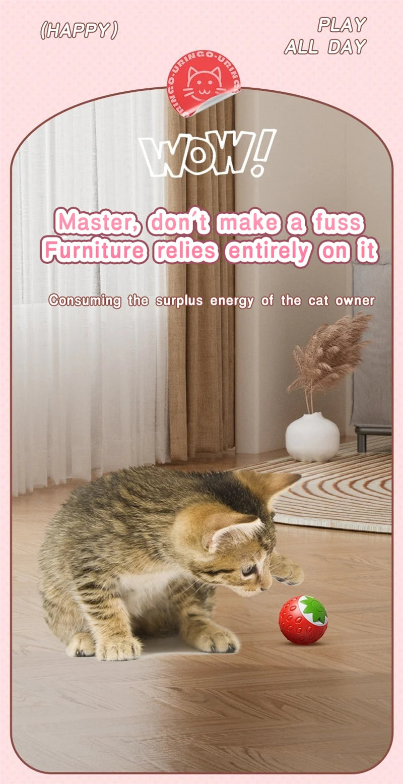 Smart Cat Toys: Automatic Rolling Interactive Ball (USB Rechargeabe