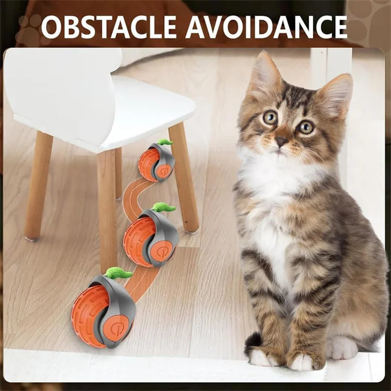 Smart Cat Toys: Automatic Rolling Interactive Ball (USB Rechargeabe
