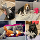 Bite-Resistant Plush Animal Squeaky Toy – Perfect for Small & Large Dogs!