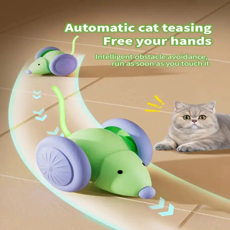 Smart Cat Toys: Automatic Rolling Interactive Ball (USB Rechargeabe