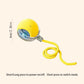 Smart Cat Toys: Automatic Rolling Interactive Ball (USB Rechargeabe