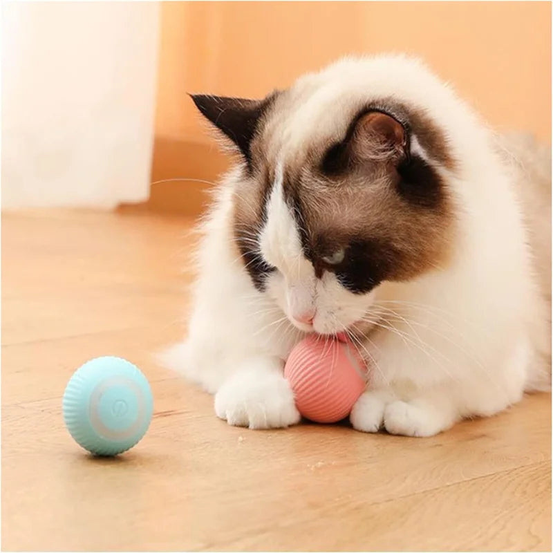 Smart Cat Toys: Automatic Rolling Interactive Ball (USB Rechargeabe