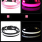 Nylon LED Night Safety Flashing Glow In The Dark Dog Leash Dogs Luminous Fluorescent Pet Dog Collar