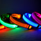 Nylon LED Night Safety Flashing Glow In The Dark Dog Leash Dogs Luminous Fluorescent Pet Dog Collar