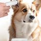 Pet cleaning products  Ear cleaning wipes  Ear care fingertips  Ear mite removal  Cat and dog ear cleaning pet products