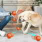 Smart Dog / Cat Toy Ball Electronic Interactive Pet Toy Moving Ball USB Automatic Moving Bouncing for Puppy Birthday Gift Cat Products